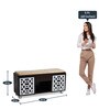 Seat-On Shoe Rack With Seating In Wenge Finish