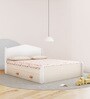 Secret Queen Bed in Pearly White Colour with Drawer Storage