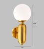 Jacinda Brass Glass and Metal Wall Sconces
