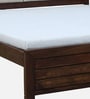 Segur Sheesham Wood King Size Bed In Provincial Teak Finish with Padded Headboard