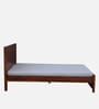 Segur Sheesham Wood Queen Size Bed In Honey Oak Finish