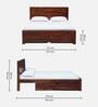 Segur Sheesham Wood Queen Size Bed In Honey Oak Finish With Drawer Storage