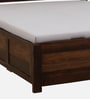 Segur Sheesham Wood Queen Size Bed In Provincial Teak Finish With Beige Padded Headboard Hydraulic Storage