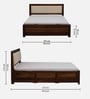 Segur Sheesham Wood Queen Size Bed In Provincial Teak Finish With Beige Padded Headboard Hydraulic Storage