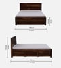 Segur Sheesham Wood Queen Size Bed In Provincial Teak Finish With Box Storage