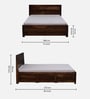 Segur Sheesham Wood Queen Size Bed In Provincial Teak Finish With Box Storage