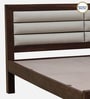 Segur Sheesham Wood Queen Size Bed In Provincial Teak Finish with Padded Headboard