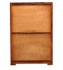 Segur Sheesham Wood 2 Door Wardrobe in Honey Oak Finish