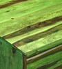 Segur Solid Wood Coffee Table with Storage in Spring Green Finish