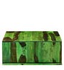 Segur Solid Wood Coffee Table with Storage in Spring Green Finish