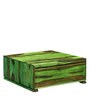 Segur Solid Wood Coffee Table with Storage in Spring Green Finish