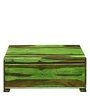 Segur Solid Wood Coffee Table with Storage in Spring Green Finish
