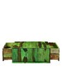 Segur Solid Wood Coffee Table with Storage in Spring Green Finish