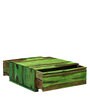 Segur Solid Wood Coffee Table with Storage in Spring Green Finish