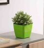 Plastic Green Flower Desk Pots