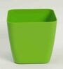 Plastic Green Flower Desk Pots