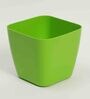 Plastic Green Flower Desk Pots