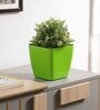 Plastic Green Flower Desk Pots
