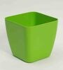 Plastic Green Flower Desk Pots
