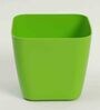 Plastic Green Flower Desk Pots