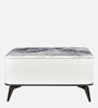 Seina Marble Top Coffee Table in White Colour