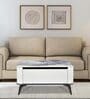 Seina Marble Top Coffee Table in White Colour