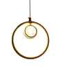 Selene Gold Iron Hanging Light | Inbuilt LED | without Bulb | Eliante