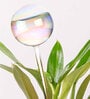 1 Pc Self-Watering Globe for Indoor and Outdoor Plant
