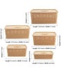Plastic Kitchen Basket In Beige Set of 5