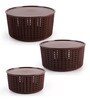 Selvel Target Basket Set of 3