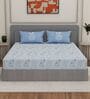Blue Floral 144 TC Cotton King Sized Bedsheet With 2 Pillow Covers