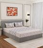 Blue Floral 144 TC Cotton King Sized Bedsheet With 2 Pillow Covers