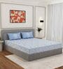 Blue Floral 144 TC Cotton King Sized Bedsheet With 2 Pillow Covers