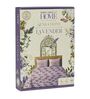 Purple Floral 144 TC Cotton King Sized Bedsheet With 2 Pillow Covers