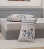 Blue Floral 144 TC Cotton King Sized Bedsheet With 2 Pillow Covers