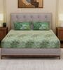 Green Leaf 144 TC Cotton King Sized Bedsheet With 2 Pillow Covers