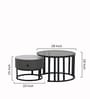 Sepang Malaysian Sintered Stone & Glass Top Coffee Table Set Of 2 In Grey Finish