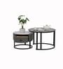 Sepang Malaysian Sintered Stone & Glass Top Coffee Table Set Of 2 In Grey Finish