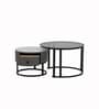Sepang Malaysian Sintered Stone & Glass Top Coffee Table Set Of 2 In Grey Finish