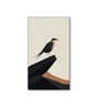 Bird Wall Art Collection Set of 4 Canvas Wall Painting Black Frame