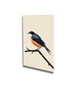 Bird Wall Art Collection Set of 4 Canvas Wall Painting Gold Frame