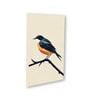 Bird Wall Art Collection Set of 4 Canvas Wall Painting Stretch Canvas Frame
