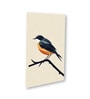 Bird Wall Art Collection Set of 4 Canvas Wall Painting White Frame