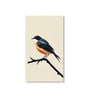 Bird Wall Art Collection Set of 4 Canvas Wall Painting White Frame