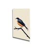 Bird Wall Art Collection Set of 4 Canvas Wall Painting White Frame