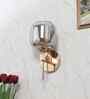 Serene Gold & Mild Steel Wall Light