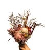 Serene Multicolour  1 Bunch Natural Dried Flowers