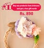 Serene Multicolour  1 Bunch Natural Dried Flowers