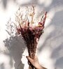 Serene Multicolour  1 Bunch Natural Dried Flowers