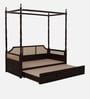 Serenity Sofa Cum BedsIn Provincial Teak Finish